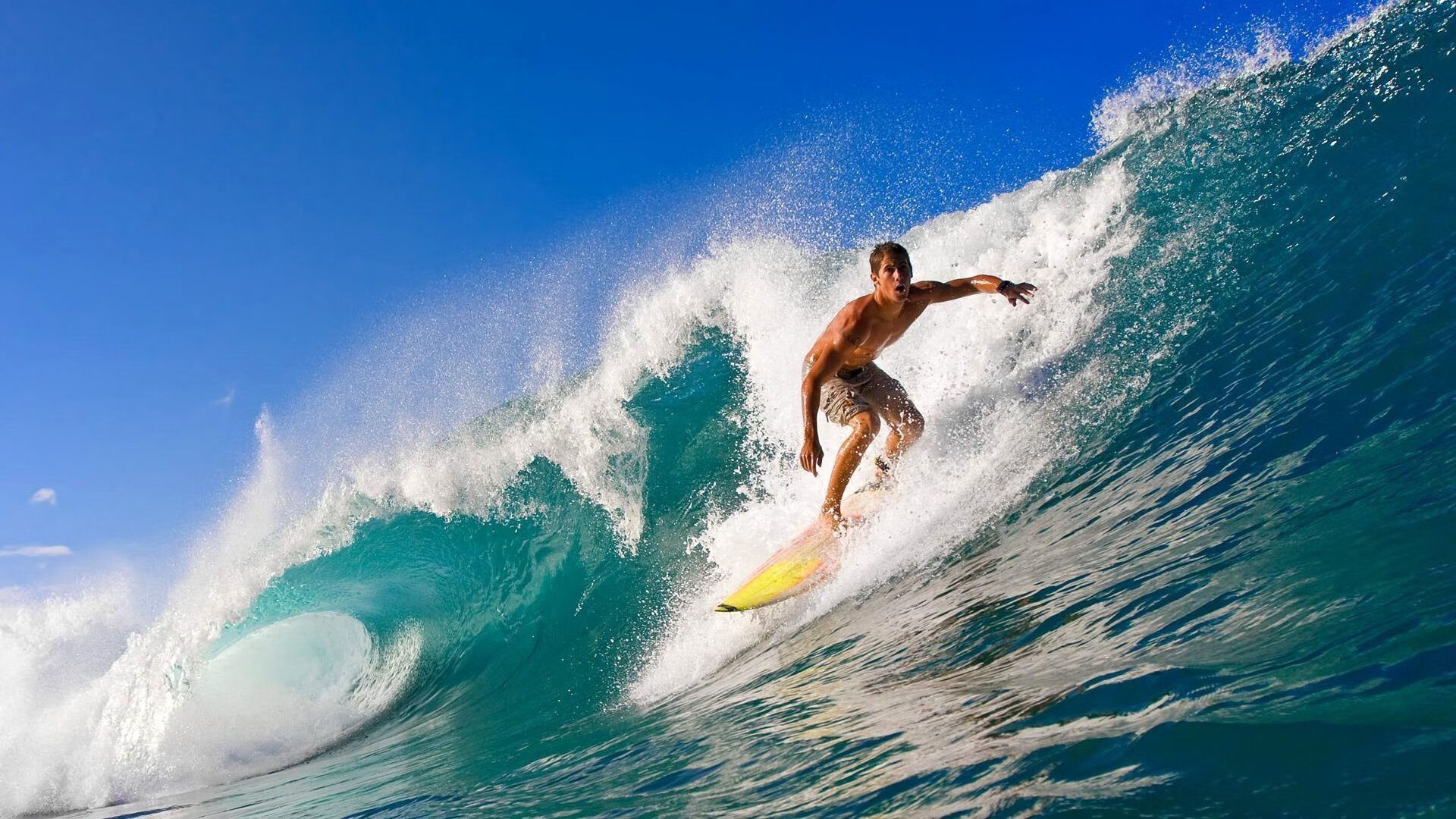 体育新闻中心协助地方体育局数字传播能力提升计划，体育传播活动中新媒体使用情况调查报告